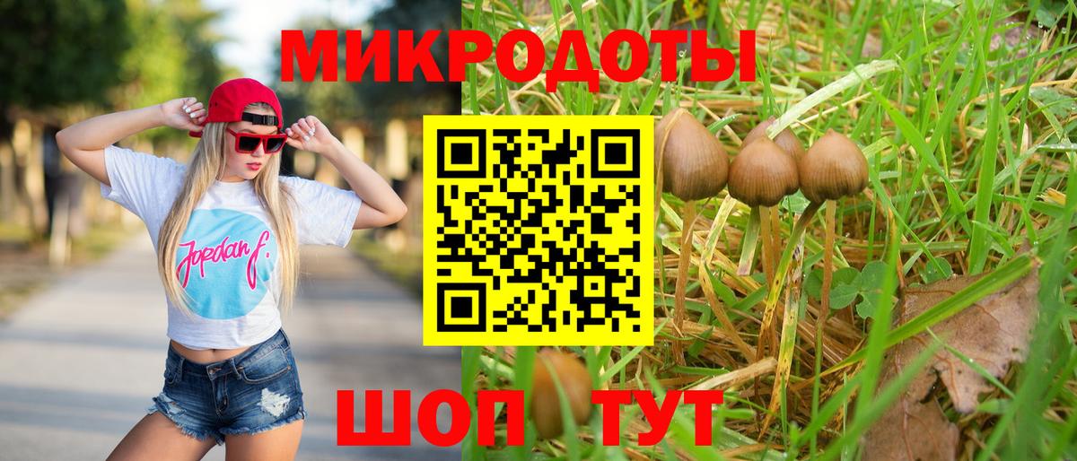 Шадринск  Псилоцибиновые грибы мицелий  Вход с VPN  Галлюциногенные грибы Magic Shrooms 